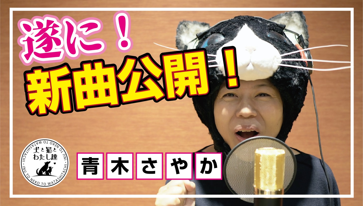 YouTubeチャンネル「犬と猫とわたし達の人生の楽しみ方」より。