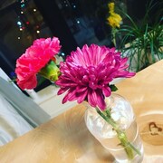 「武井壮専用リターン」のイメージ。