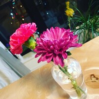 「武井壮専用リターン」のイメージ。