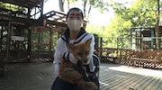 イモトアヤコ、キツネ村でもふもふ三昧「イッテQ！」