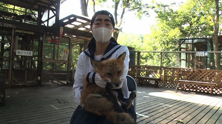 イモトアヤコ キツネ村でもふもふ三昧 イッテq お笑いナタリー