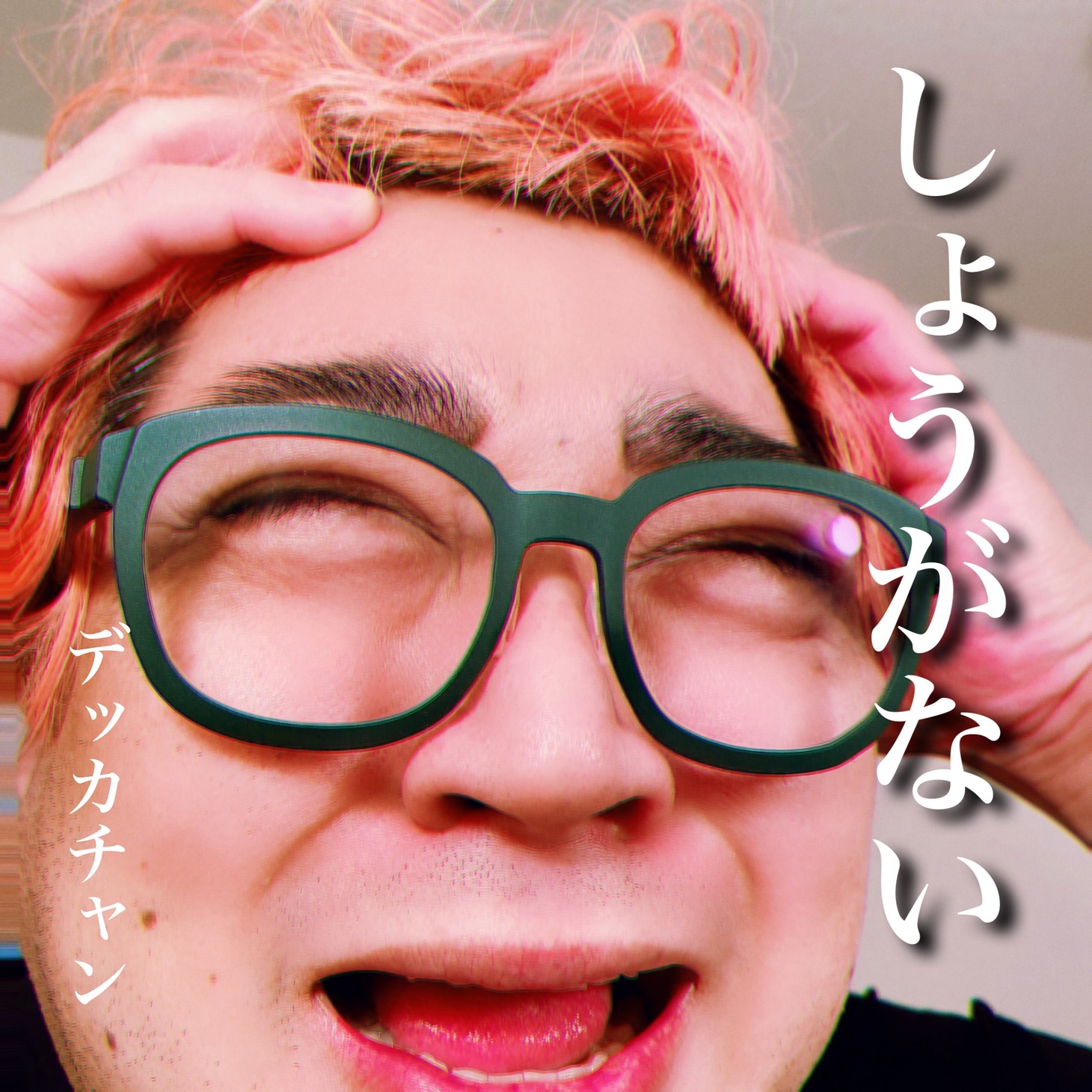 「しょうがない」ジャケット