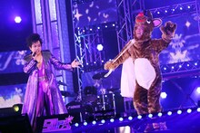 50PA生配信ライブはぺこぱ集大成の12曲、無観客でも「本当に届いてる」アーカイブ配信開始