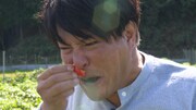 「相席食堂」に出演する天竺鼠・瀬下。(c)ABCテレビ