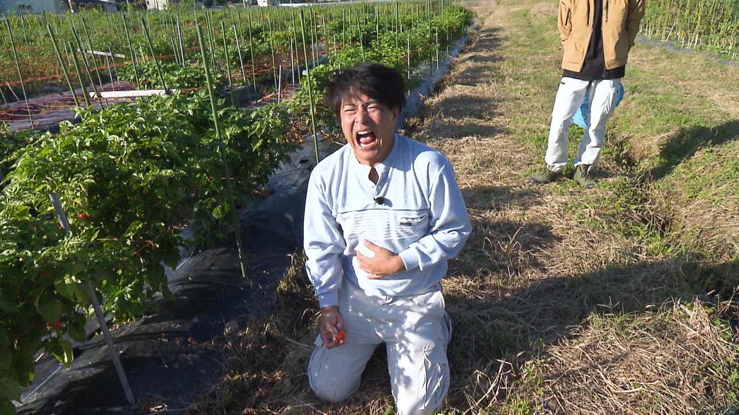 天竺鼠・瀬下 (c)ABCテレビ
