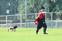 「絶対に笑ってはいけない大貧民GoToラスベガス24時！」より。