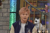 那須川天心 (c)読売テレビ