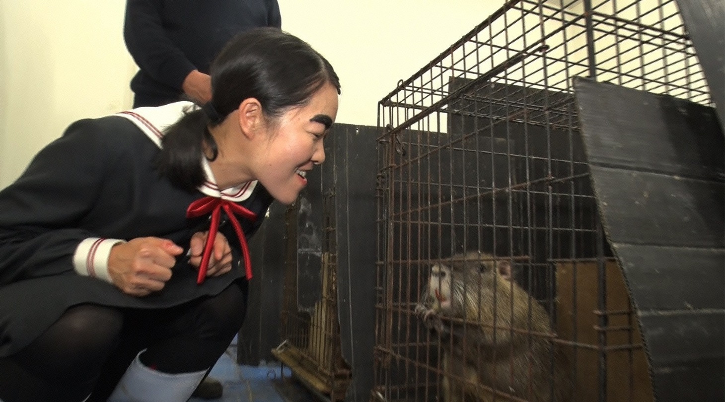 「世界の果てまでイッテQ！」のワンシーン。(c)日本テレビ