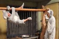 （左から）バイきんぐ西村、狩野英孝。(c)フジテレビ