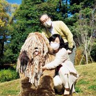 ロバート秋山、世界一クリエイティブな大型犬に