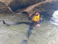 平成ノブシコブシ吉村