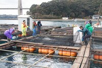 「満天☆青空レストラン」のワンシーン。(c)日本テレビ