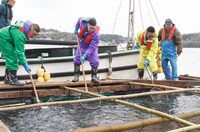 「満天☆青空レストラン」のワンシーン。(c)日本テレビ
