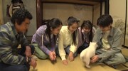 「I LOVE みんなのどうぶつ園 新春2時間スペシャル」より。(c)日本テレビ