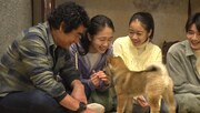 「I LOVE みんなのどうぶつ園 新春2時間スペシャル」より。(c)日本テレビ