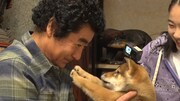 「I LOVE みんなのどうぶつ園 新春2時間スペシャル」より。(c)日本テレビ