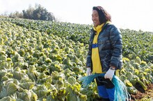 見取り図・盛山 (c)日本テレビ