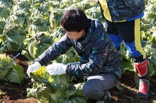 見取り図リリー (c)日本テレビ