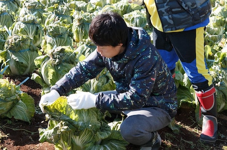 見取り図リリー (c)日本テレビ