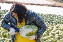 見取り図・盛山 (c)日本テレビ