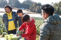 「満天☆青空レストラン」のワンシーン。(c)日本テレビ