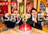 特典のビジュアルシート。