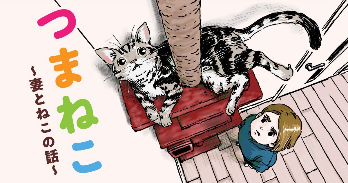 「つまねこ」キービジュアル