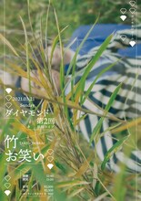 ダイヤモンド第2回単独ライブ「竹お笑い」のフライヤービジュアル。