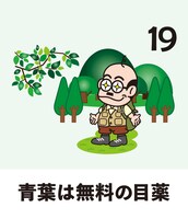 「加トちゃん・綾菜の笑ってすごせる日めくりカレンダー」より。