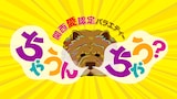 野性爆弾くっきー が犬の声 関西愛認定バラエティ ちゃうんちゃう にロッチ中岡 お笑いナタリー