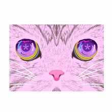 蛙亭・中野が描いた猫のイラスト。