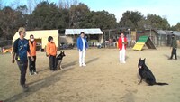 サバンナのロケのワンシーン。(c)ABCテレビ
