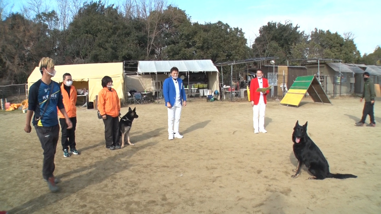 サバンナのロケのワンシーン。(c)ABCテレビ