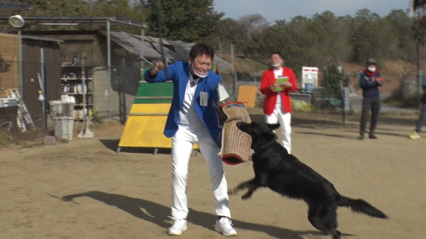 サバンナのロケのワンシーン。(c)ABCテレビ