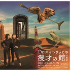 春風に乗ってDr.ハインリッヒが東京にやってくる、配信ありの単独ライブで漫才10本