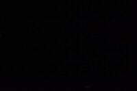 暗闇でコントを披露するザ・ギース。