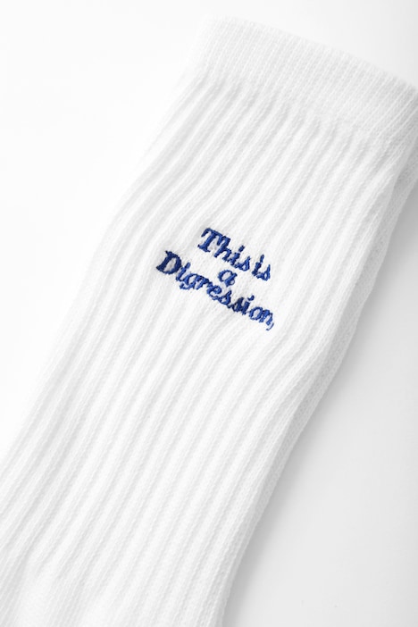 「This is a Digression ソックス」