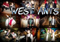 WEST ANTS