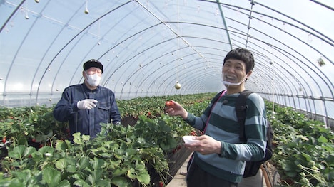 もう中学生(右) (c)ABCテレビ