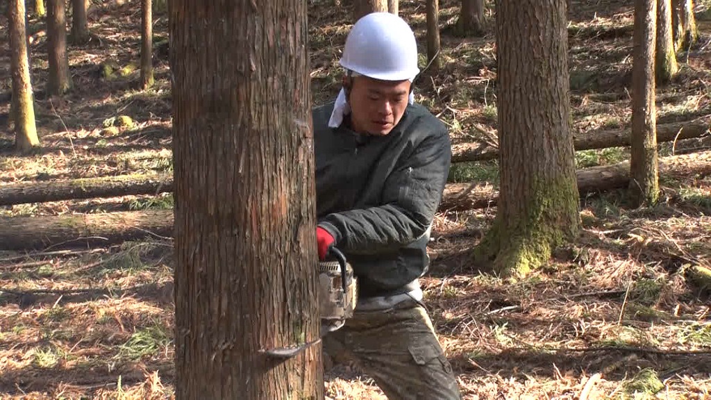 あばれる君 (c)TBS