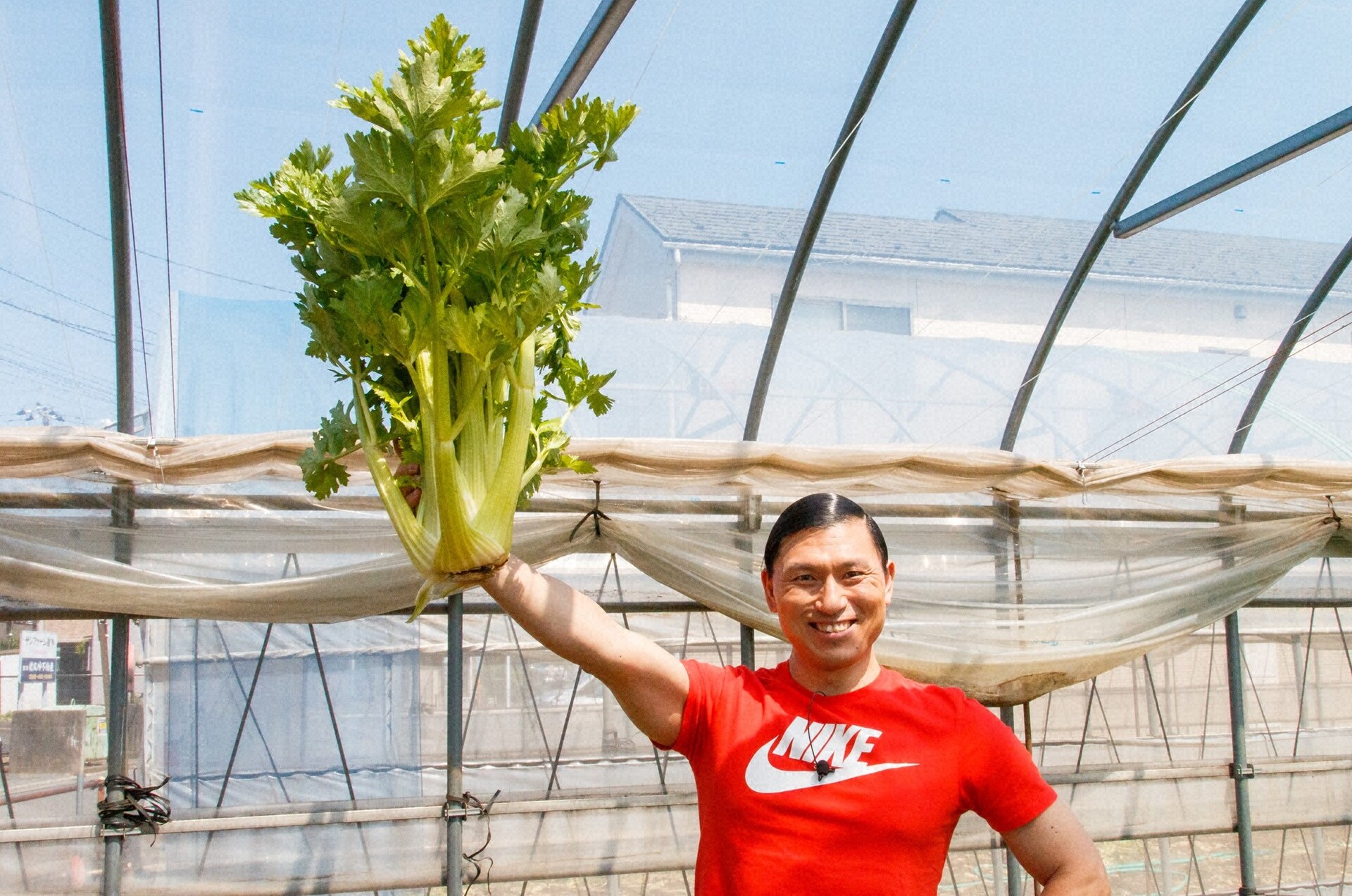 オードリー春日、叫びながらセロリを折る