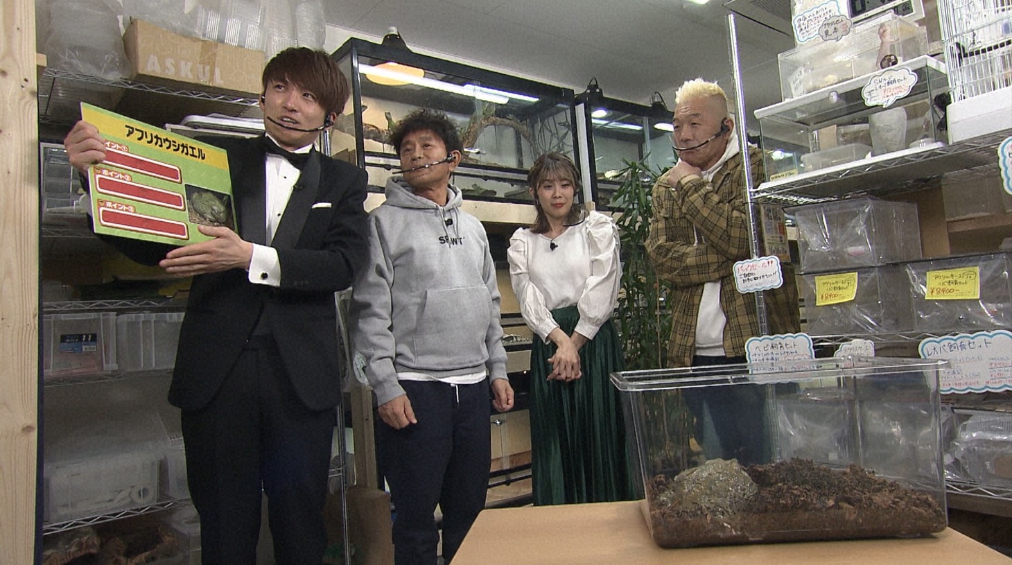 「浜ちゃんが！」のワンシーン。(c)読売テレビ