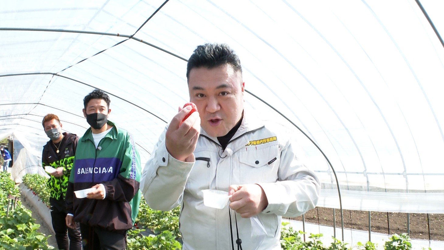 「帰省代行！ザキヤマがいく～!!」より。