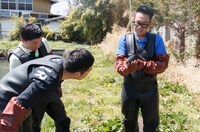 「満天☆青空レストラン」のワンシーン。(c)日本テレビ