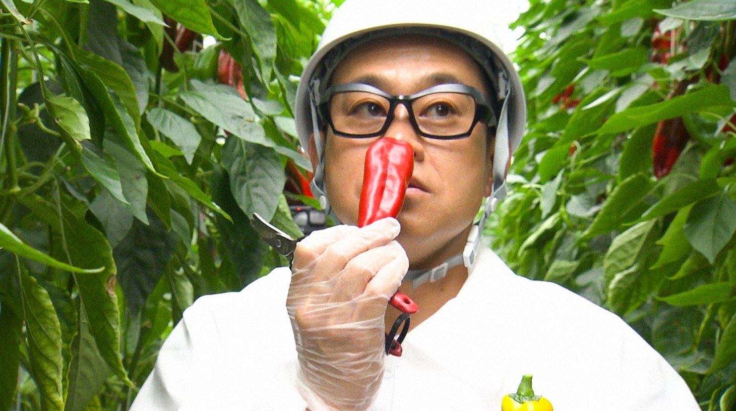 宮川大輔 (c)日本テレビ