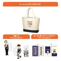 アインシュタインのグッズセット。