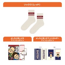 アインシュタインのグッズセット。
