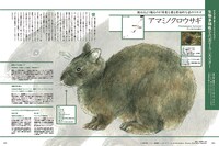 「Discover Japan」2021年8月号より。