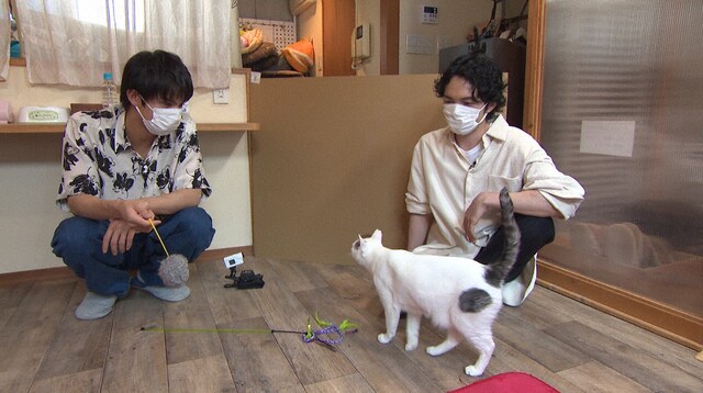 「I LOVEみんなのどうぶつ園」のワンシーン。