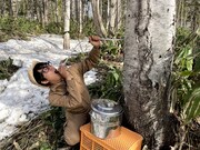 うしろシティ阿諏訪 (c)HBC